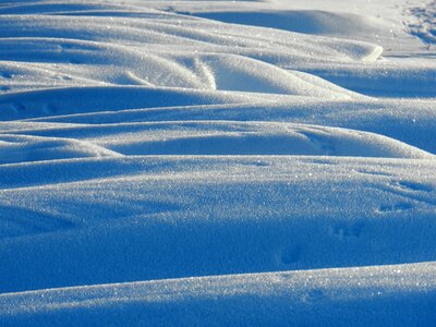 Winter wintry nature artwork