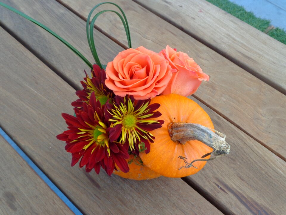 Pumpkin design orange