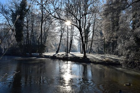 Cold winter sun