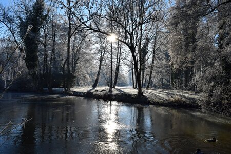 Cold winter sun photo