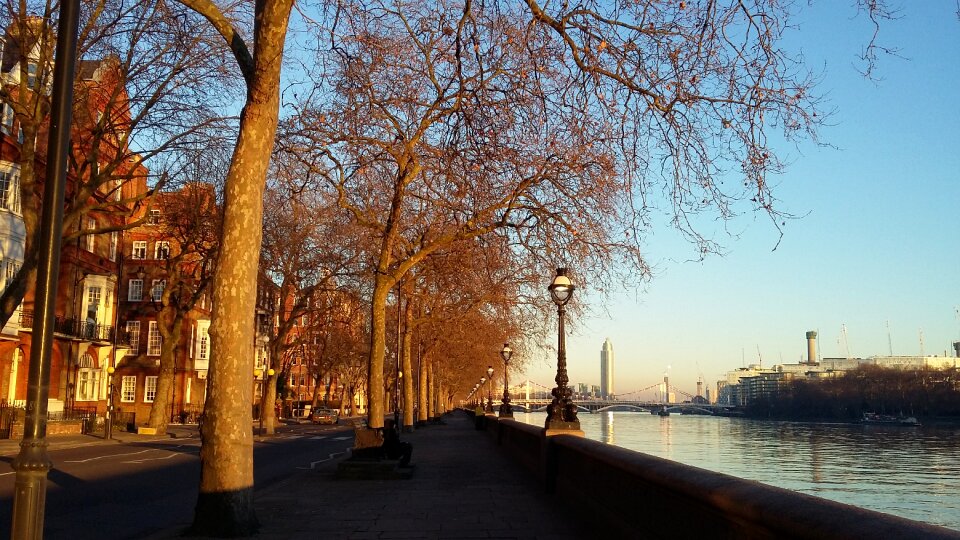Thames coast river still life