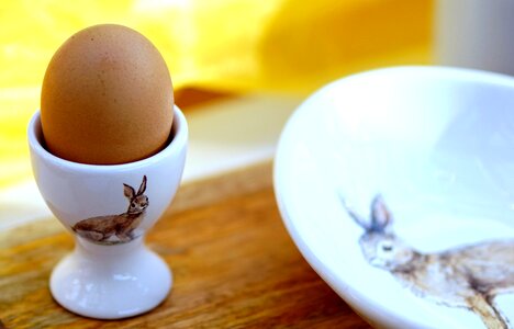 Decoration easter eggs egg photo