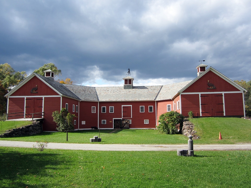 Grass plants barn
