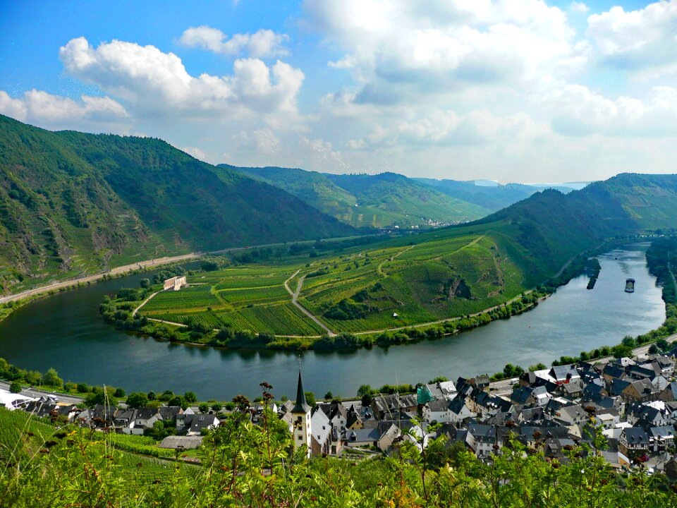Germany wine vineyards