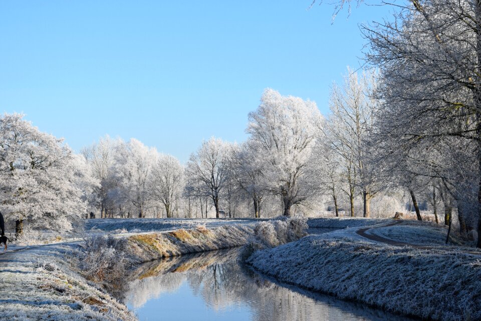 Winter wintry frost