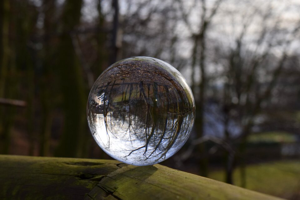 Crystal ball railing trees