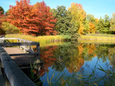 Coloring fall color lake photo