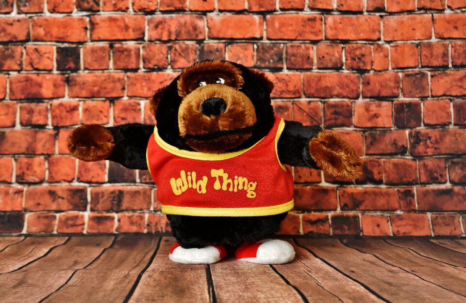 Wildthing teddy bear monkey photo