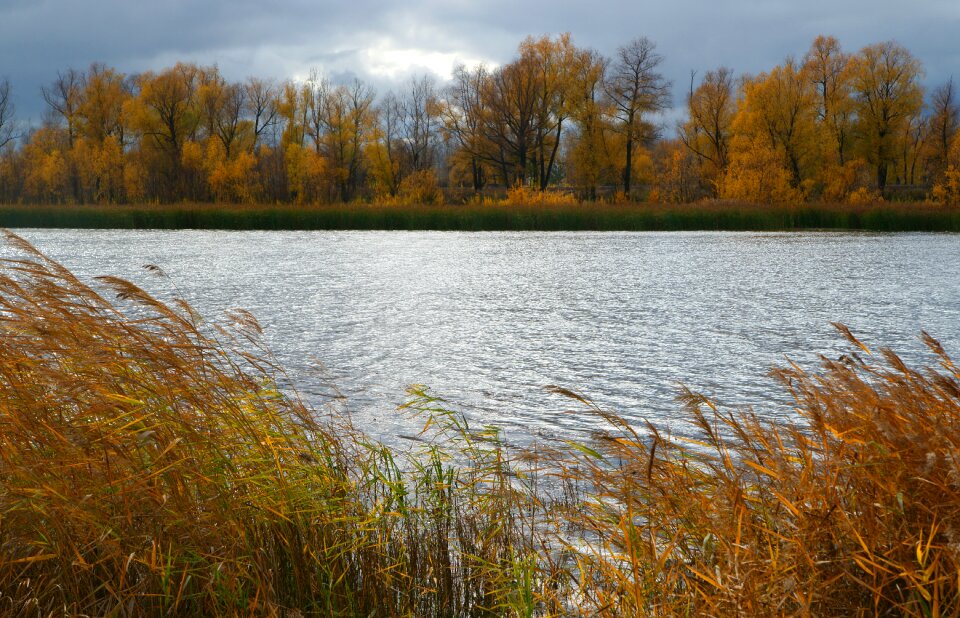 The glare sky autumn