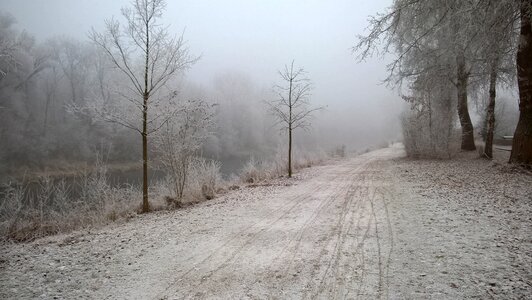 White winter mood wintry photo