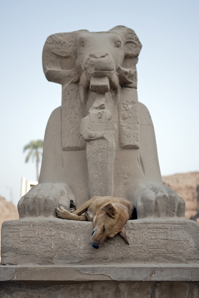 Egypt aswan ancient