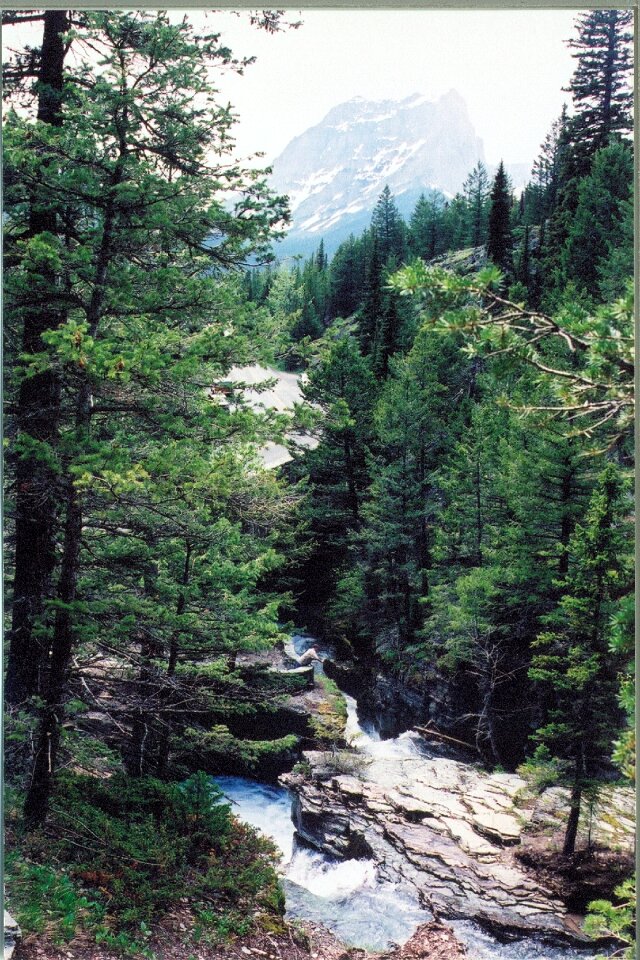 Glacier park nature