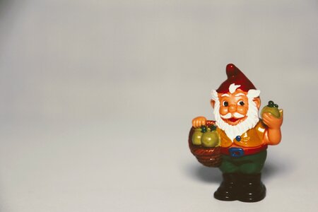 Flowers dwarf garden gnomes fruit