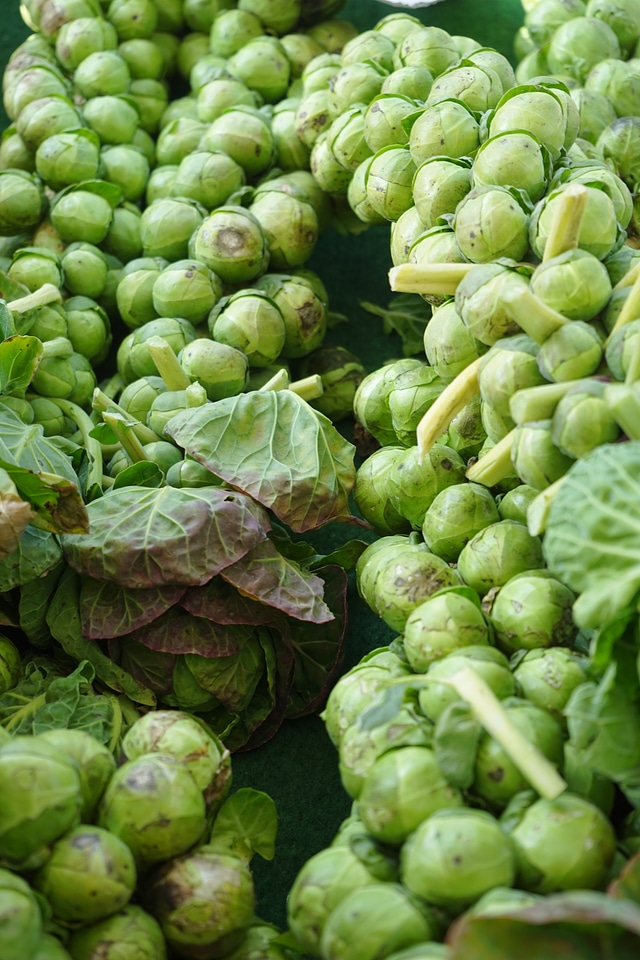 Green healthy vitamins
