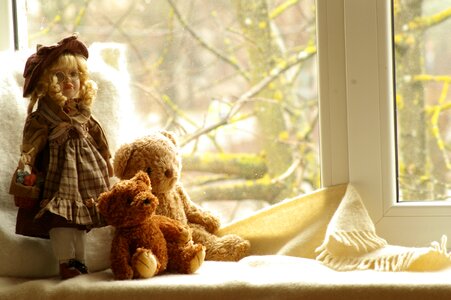 Teddy sweet