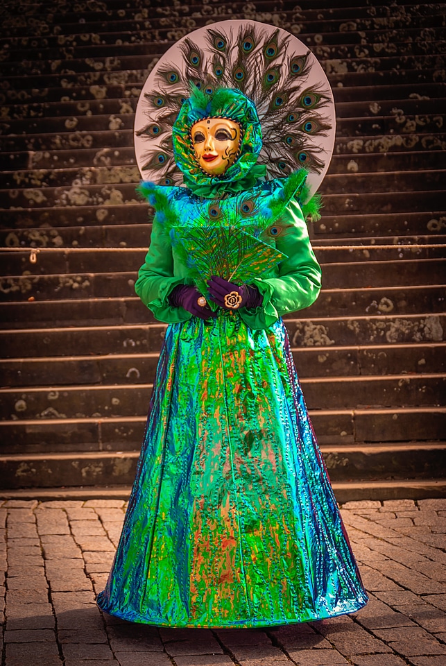 Carnival schwäbisch hall costume