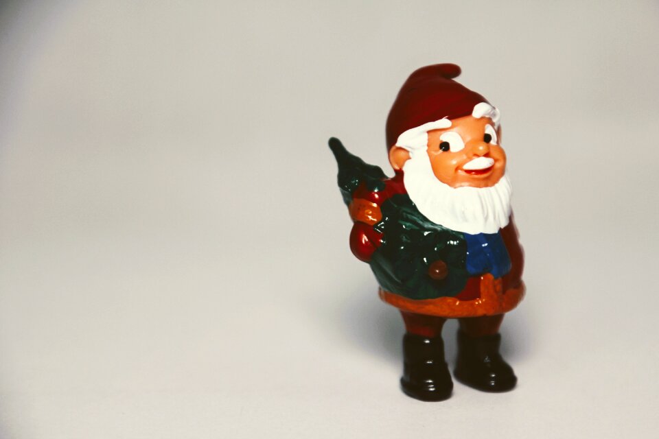 Flowers dwarf garden gnomes christmas