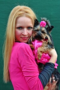 Love smile yorkie