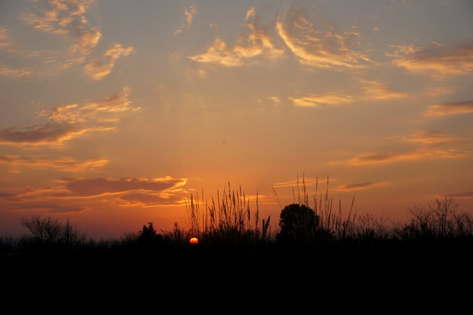 Country nature