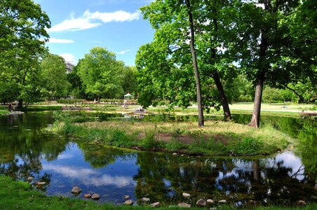Park lake summer
