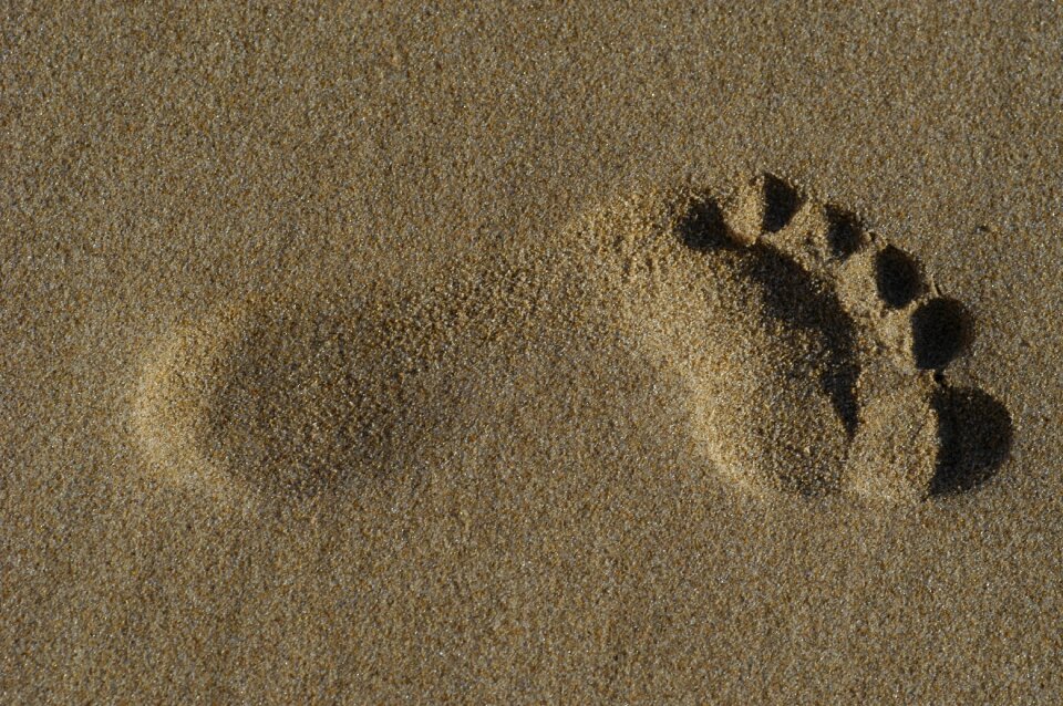Beach footprint human photo