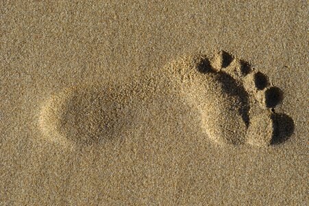 Beach footprint human photo