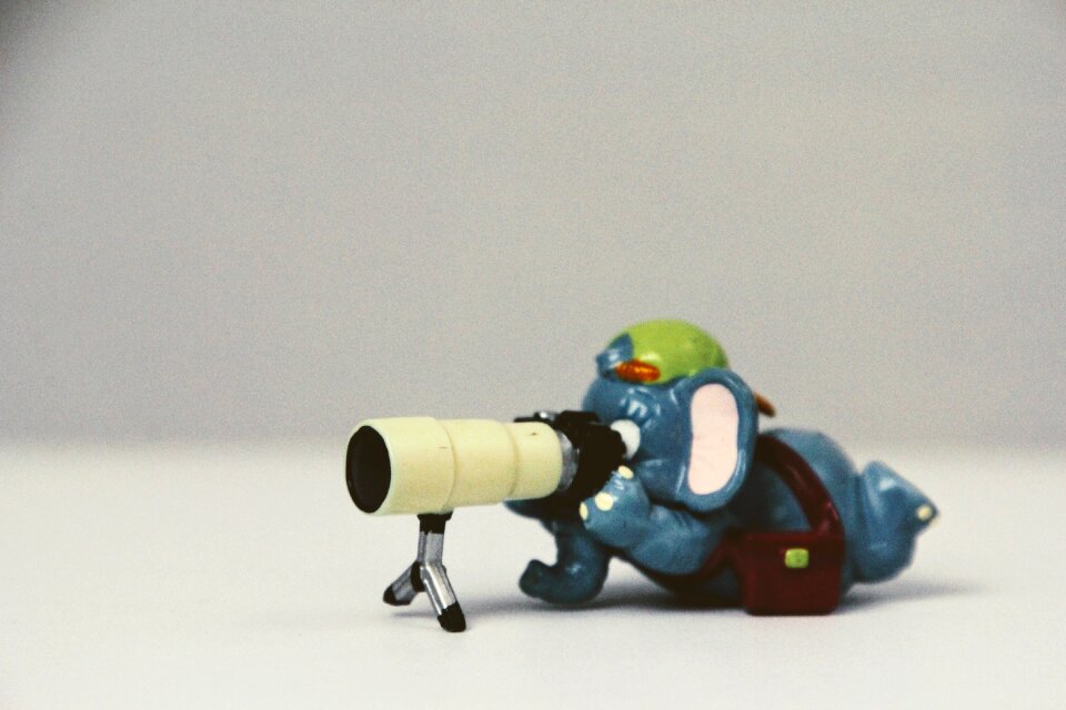 Elephant photographer figure