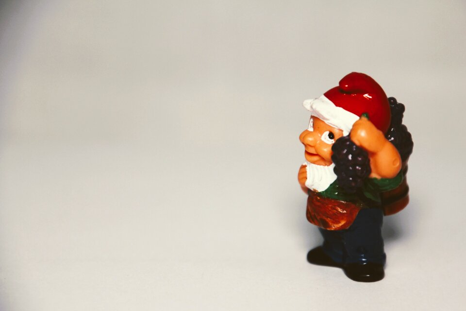 Flowers dwarf garden gnomes toys