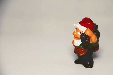 Flowers dwarf garden gnomes toys