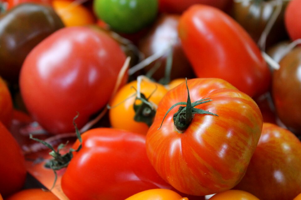 Vegetables vegetable red