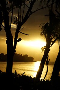 Sea golden backlighting photo