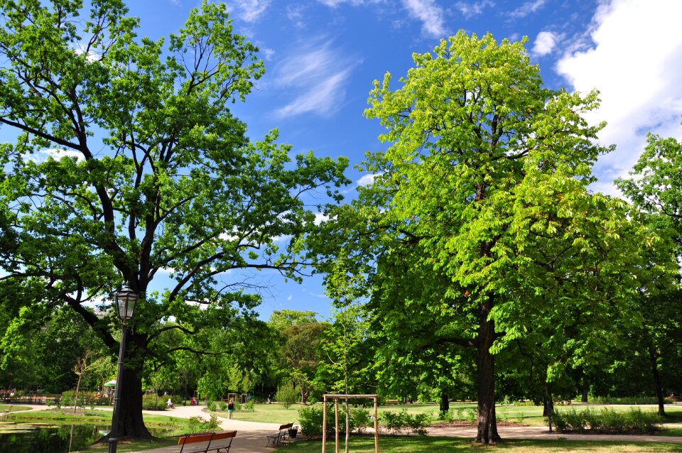 Park summer holidays