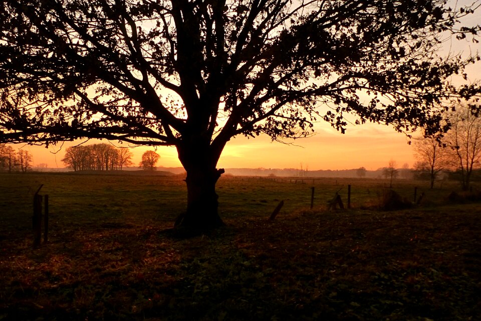 Fog dusk landscape photo