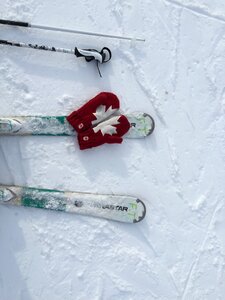 Snow gloves