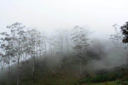 Fog mist landscape photo