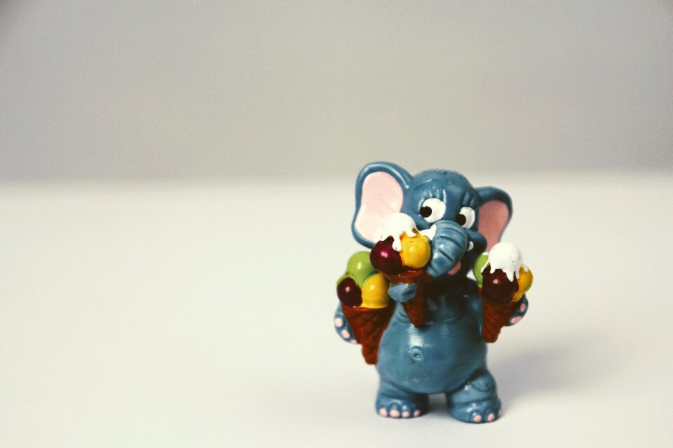 Elephant ice eating ice cream