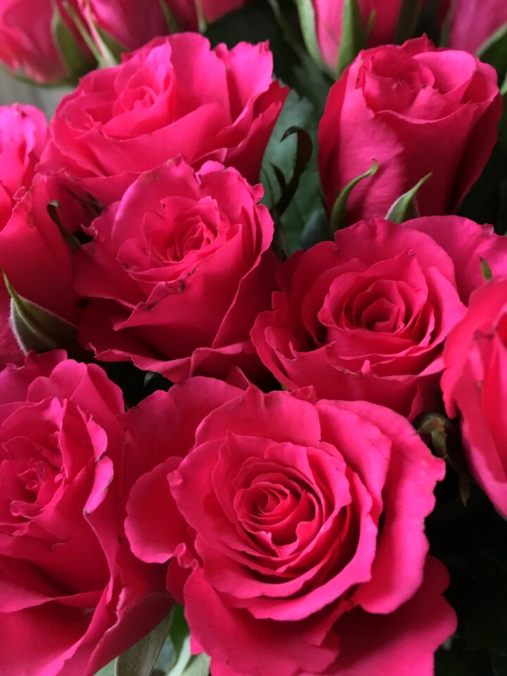 Ros red rose bouquet