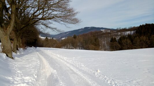 Snow landscape winter scene snow