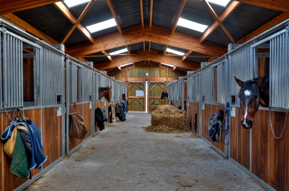 Horse interior box