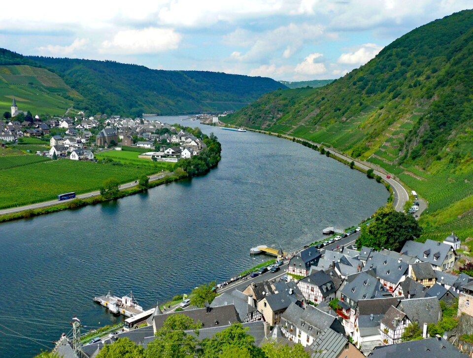 Germany wine vineyards