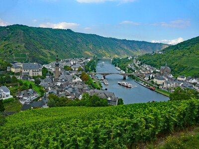 Germany wine vineyards