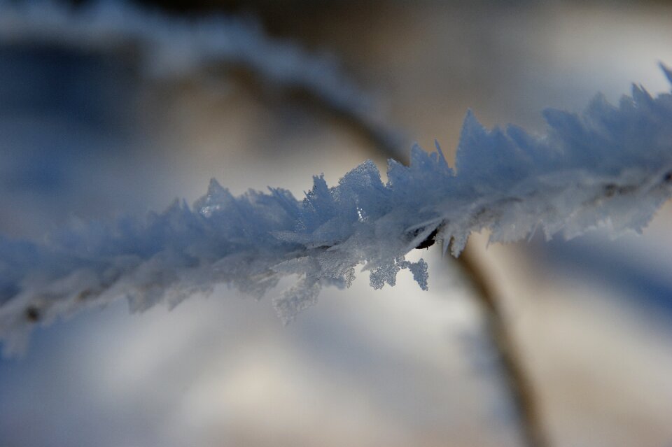 Winter winter magic ice