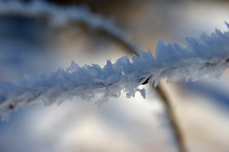 Winter winter magic ice photo