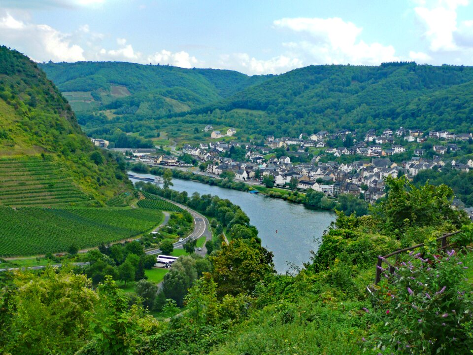 Germany wine vineyards