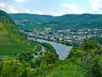 Germany wine vineyards
