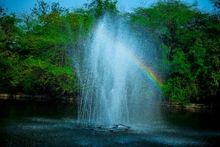 Green nature wet