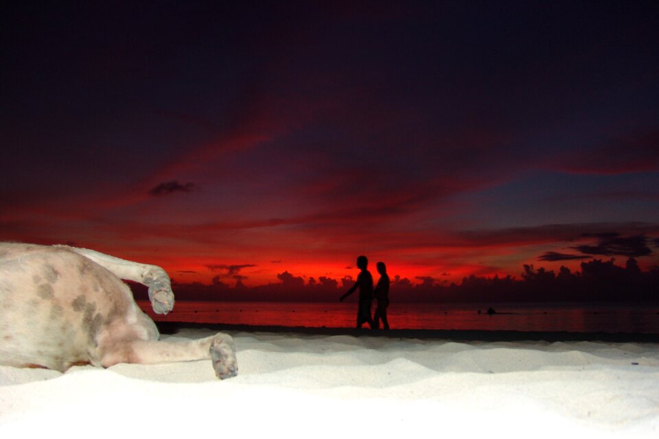 Jamaica beer sunset