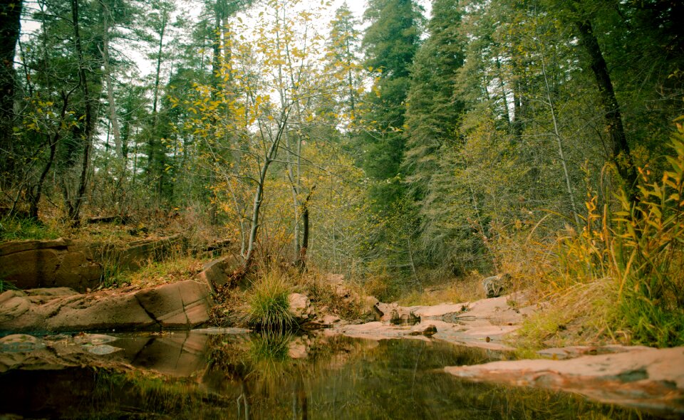 Landscape lake peace