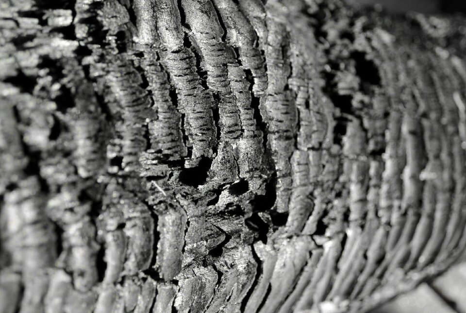 Brand close up ash