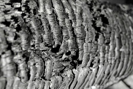 Brand close up ash